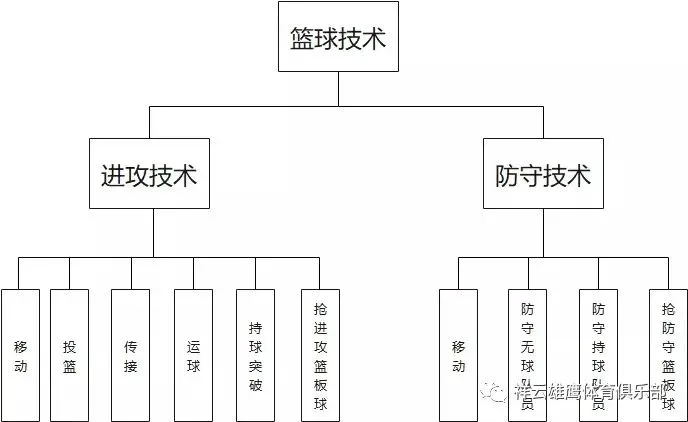 美国篮球训练计划一整套_1
